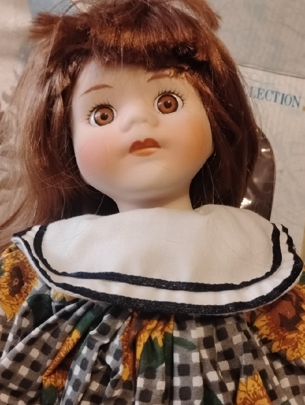 Princess Collection NIB Hand-Crafted Brunette Porcelain Doll